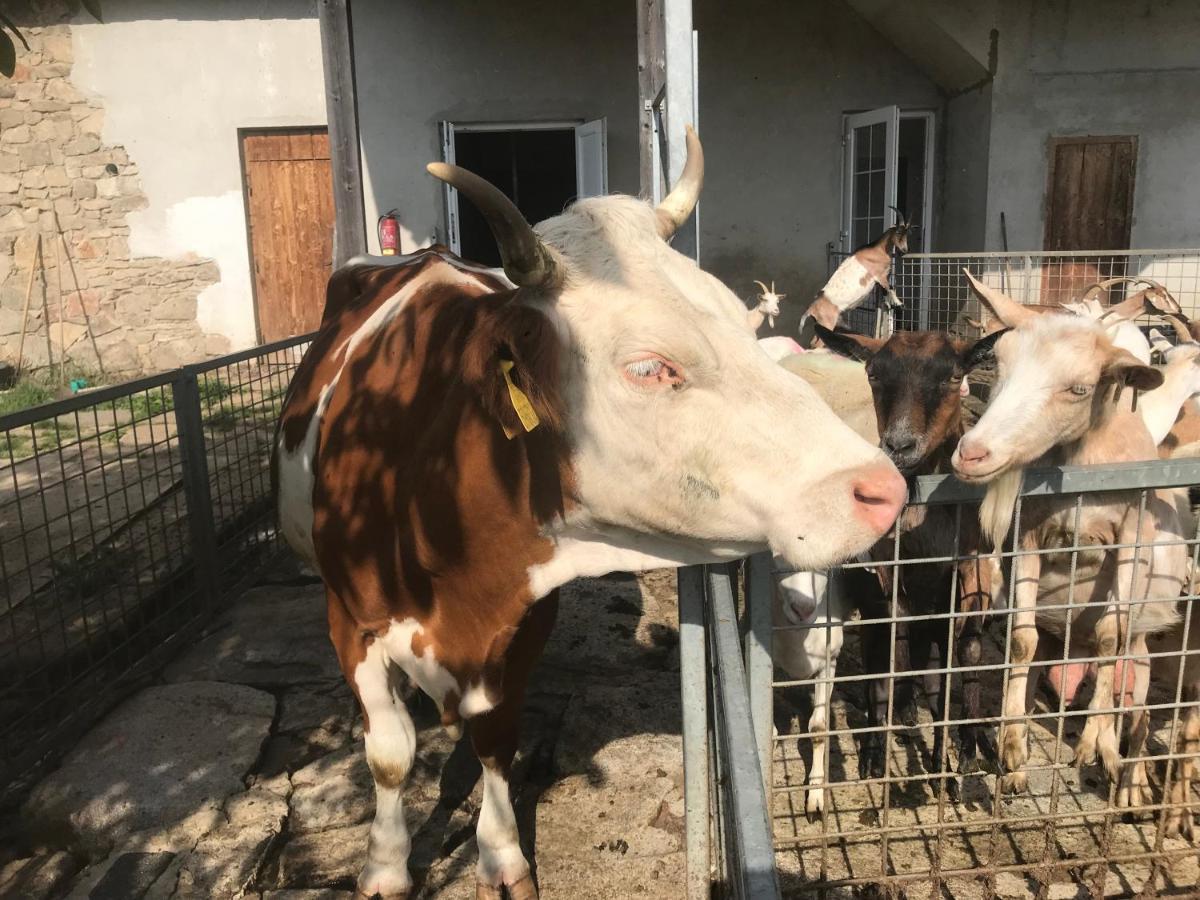 Pension Biofarma Slunecna Želnava Kültér fotó